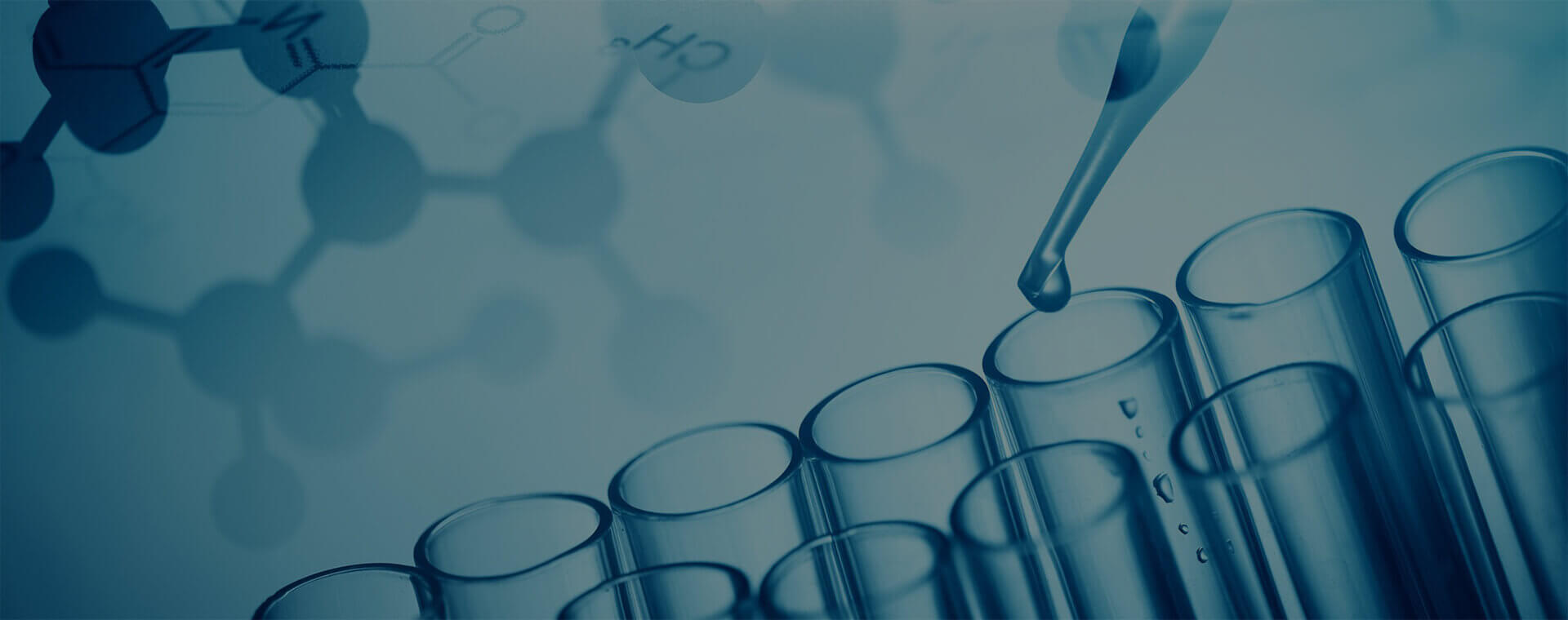 creating innovative drugs and intermediate in vihta lab